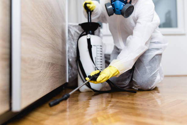 Best Emergency Pest Control  in Grant, MI