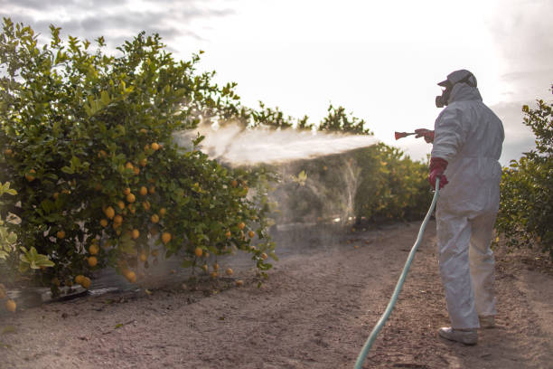 Best Affordable Pest Control Services  in Grant, MI